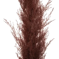 3 fleurs séchées "Pampa naturelle"*ATMOSPHERA Discount