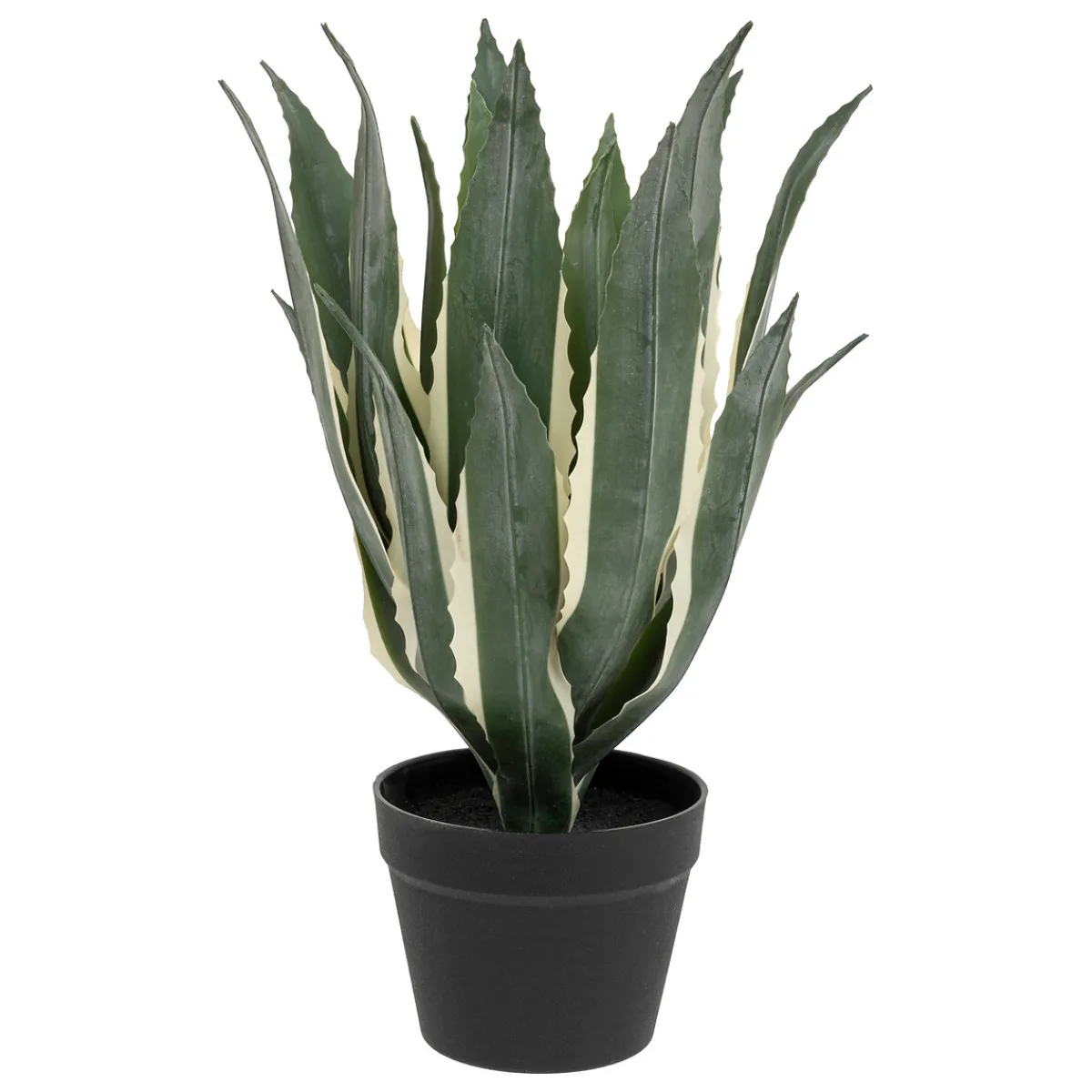Agave artificiel*ATMOSPHERA New