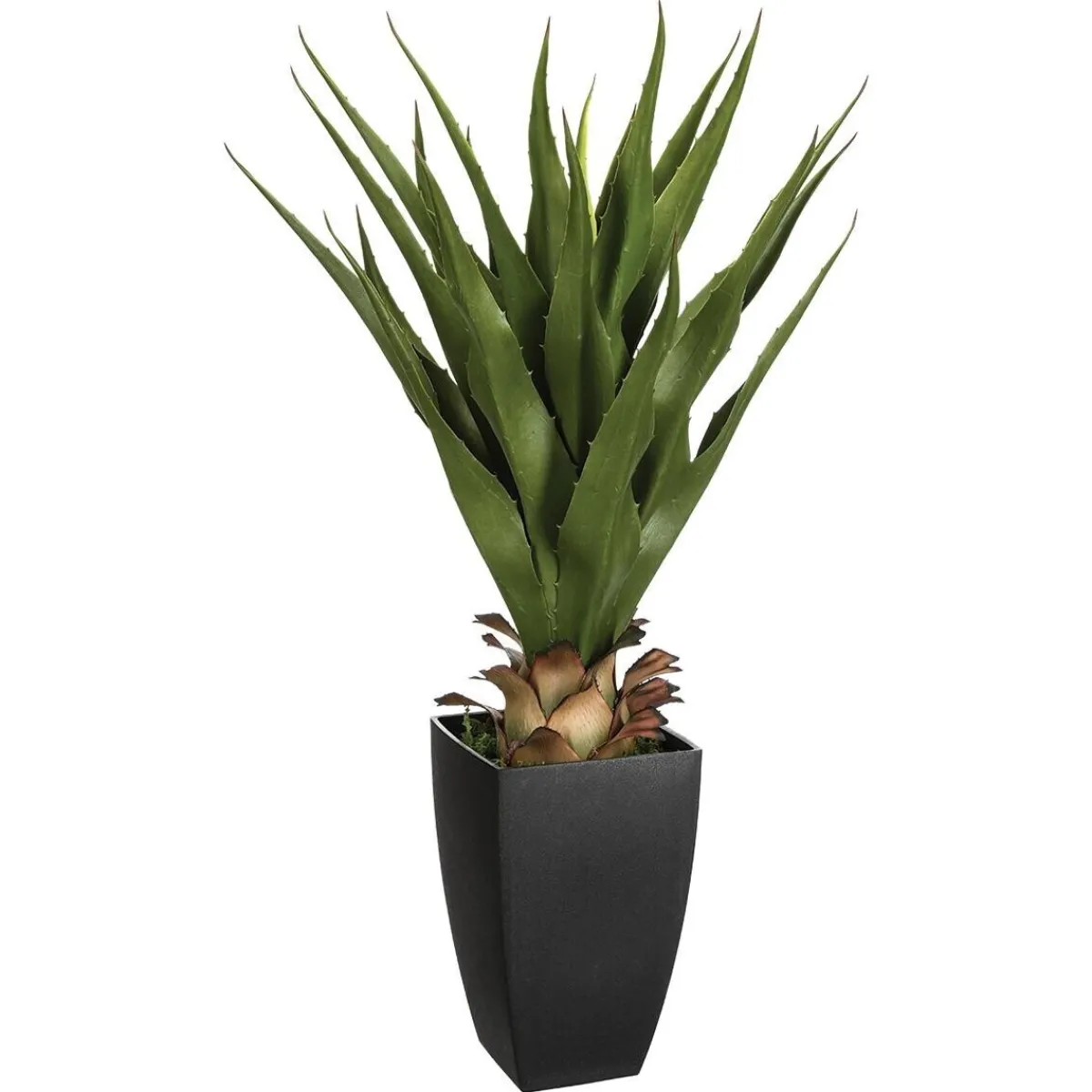 Agave artificielle*ATMOSPHERA Outlet