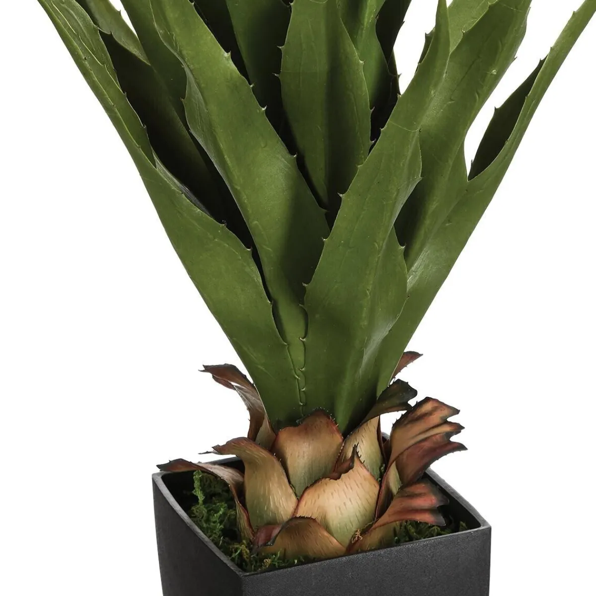 Agave artificielle*ATMOSPHERA Outlet