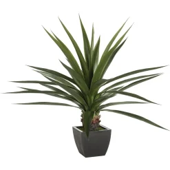 Agave artificielle géante*ATMOSPHERA