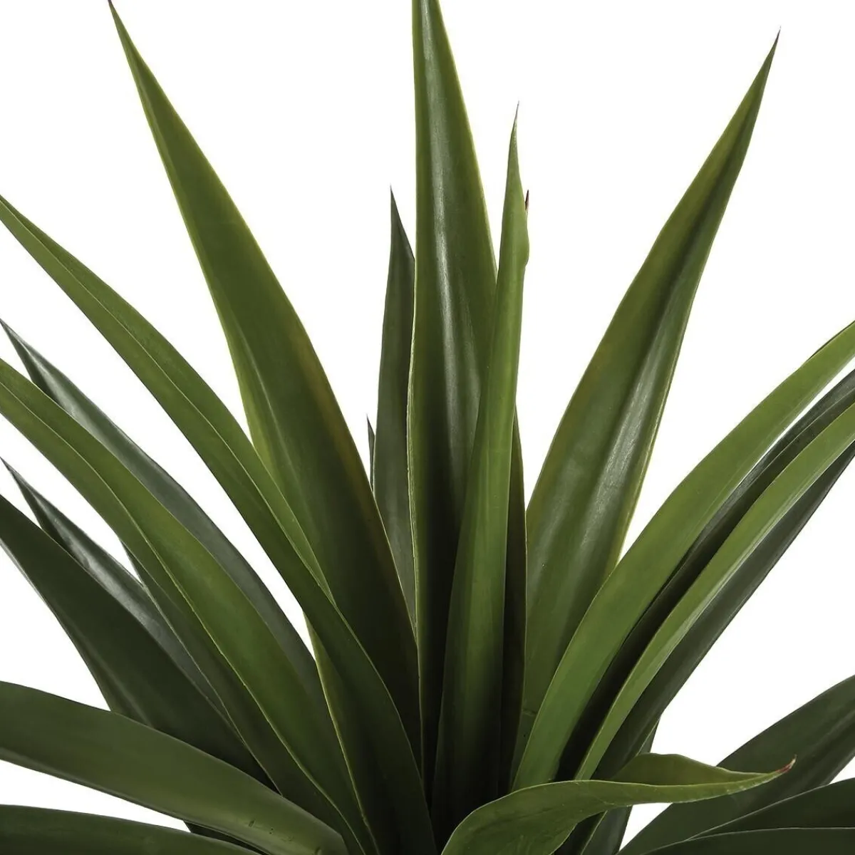 Agave artificielle géante*ATMOSPHERA