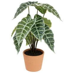 Alocasia artificiel*ATMOSPHERA