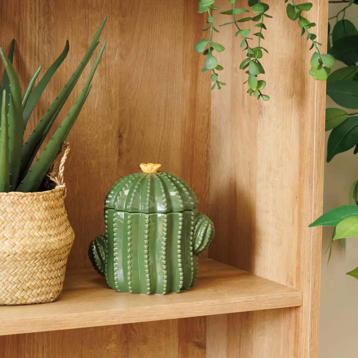 Boîte déco "Yuca"*ATMOSPHERA