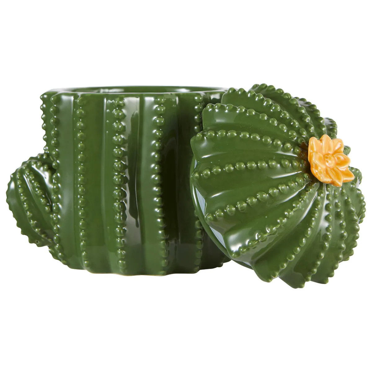 Boîte déco "Yuca"*ATMOSPHERA