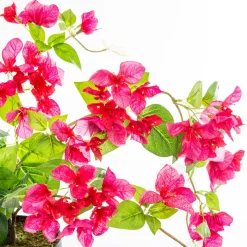 Bougainvillier artificiel*ATMOSPHERA Sale