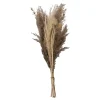 Bouquet de pampas séchées "Ori"*ATMOSPHERA Discount