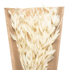 Bouquet fleurs séchées*ATMOSPHERA Outlet