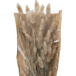 Bouquet fleurs séchées "Ori"*ATMOSPHERA Online