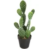 Cactus artificiel*ATMOSPHERA Clearance
