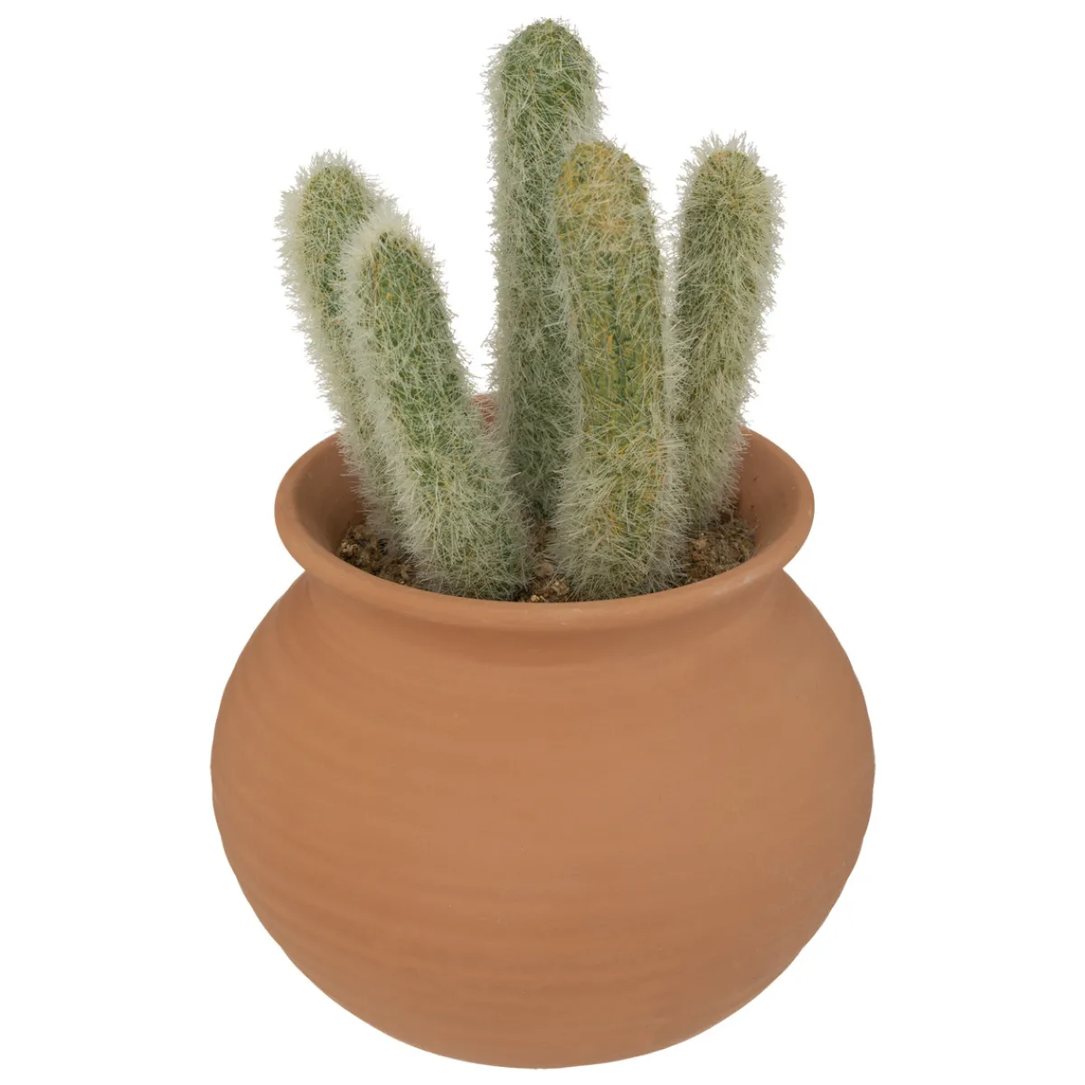 Cactus artificiel "Ali", H16,5 cm*ATMOSPHERA Best