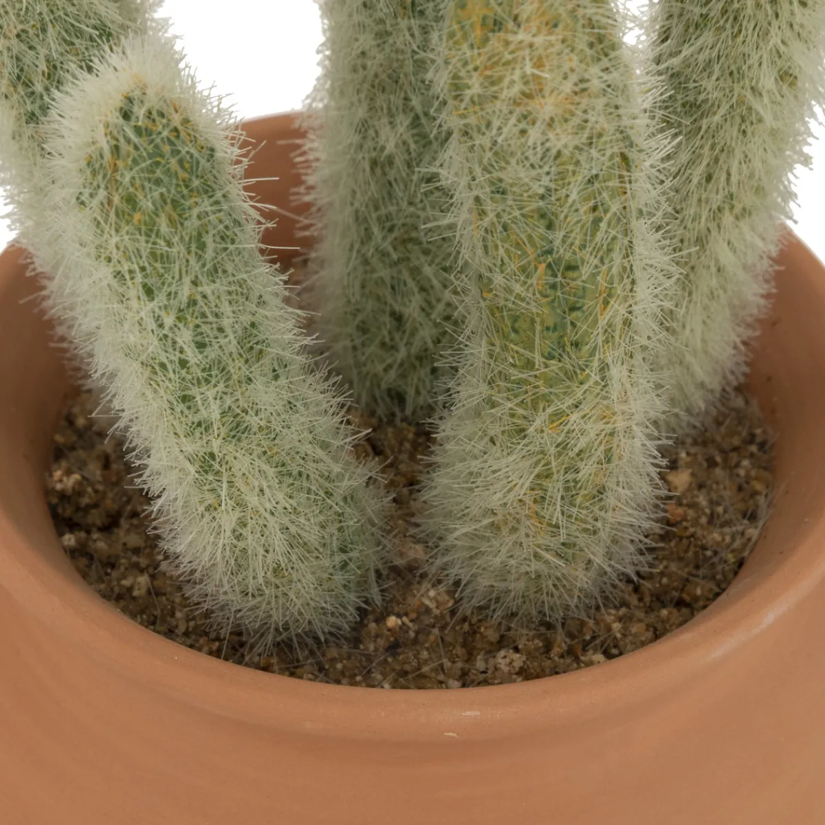 Cactus artificiel "Ali", H16,5 cm*ATMOSPHERA Best