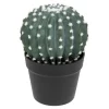 Cactus rond "Exotic Panama"*ATMOSPHERA Sale