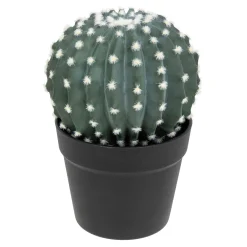 Cactus rond "Exotic Panama"*ATMOSPHERA Sale