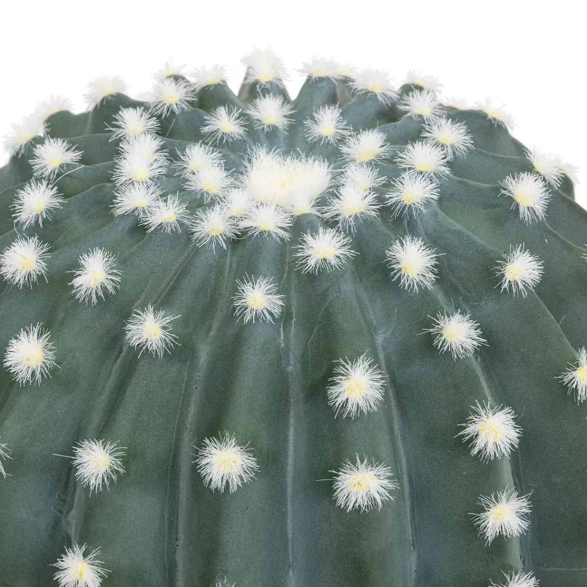 Cactus rond "Exotic Panama"*ATMOSPHERA Sale