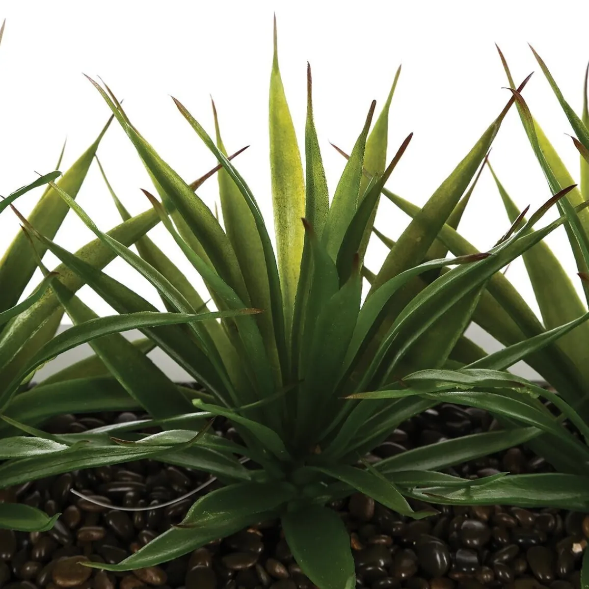 Centre de table 3 aloe vera artificielle*ATMOSPHERA Hot