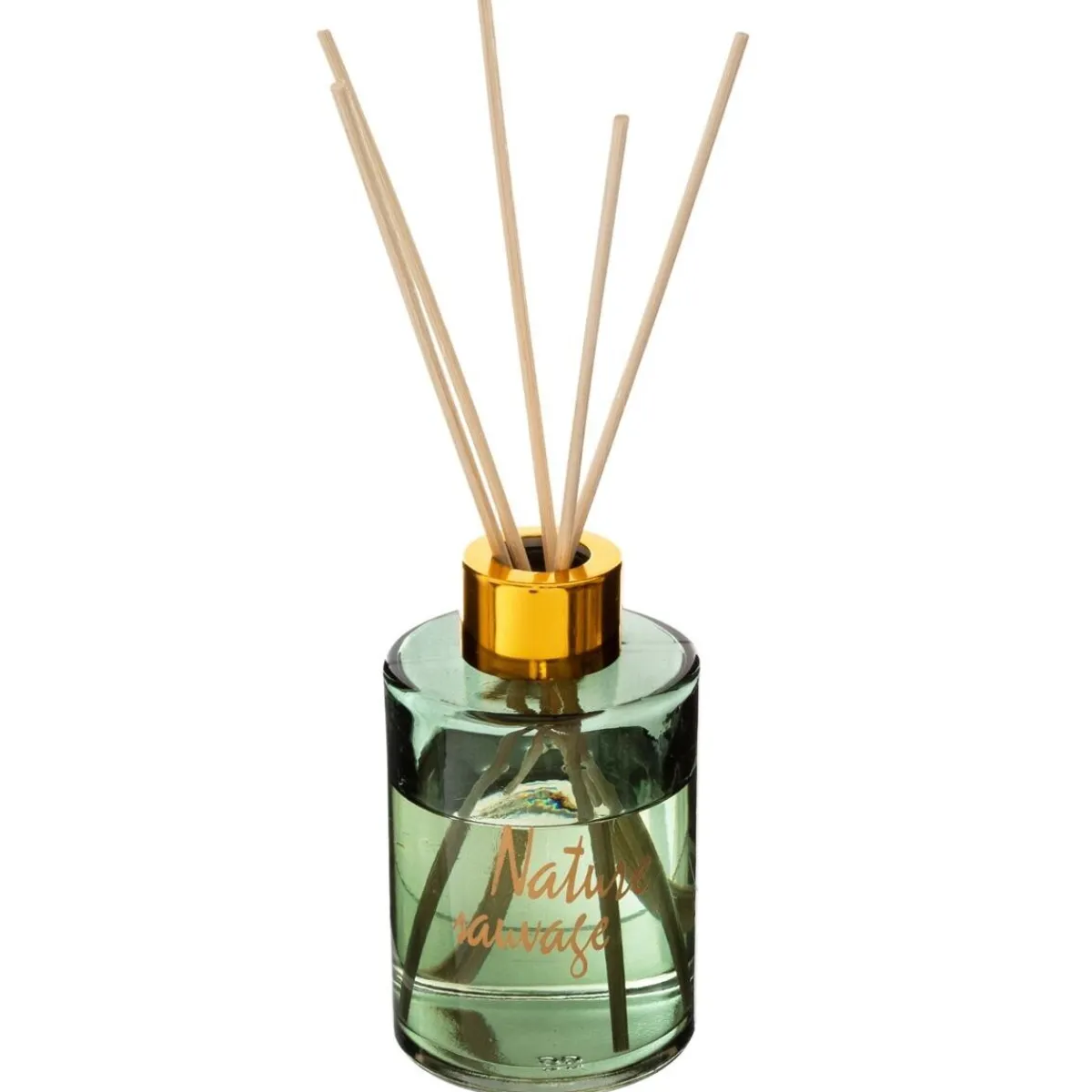 Coffret cadeau cage "Jungle"*ATMOSPHERA