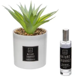 Coffret senteur "Cactus"*ATMOSPHERA Clearance