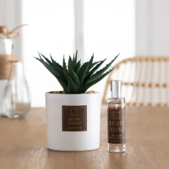 Coffret senteur "Cactus"*ATMOSPHERA Clearance