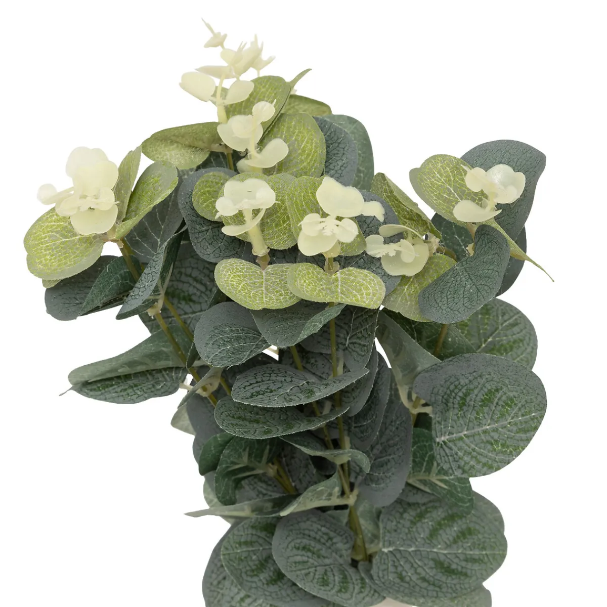 Composition Eucalyptus avec vase "Suza"*ATMOSPHERA Clearance