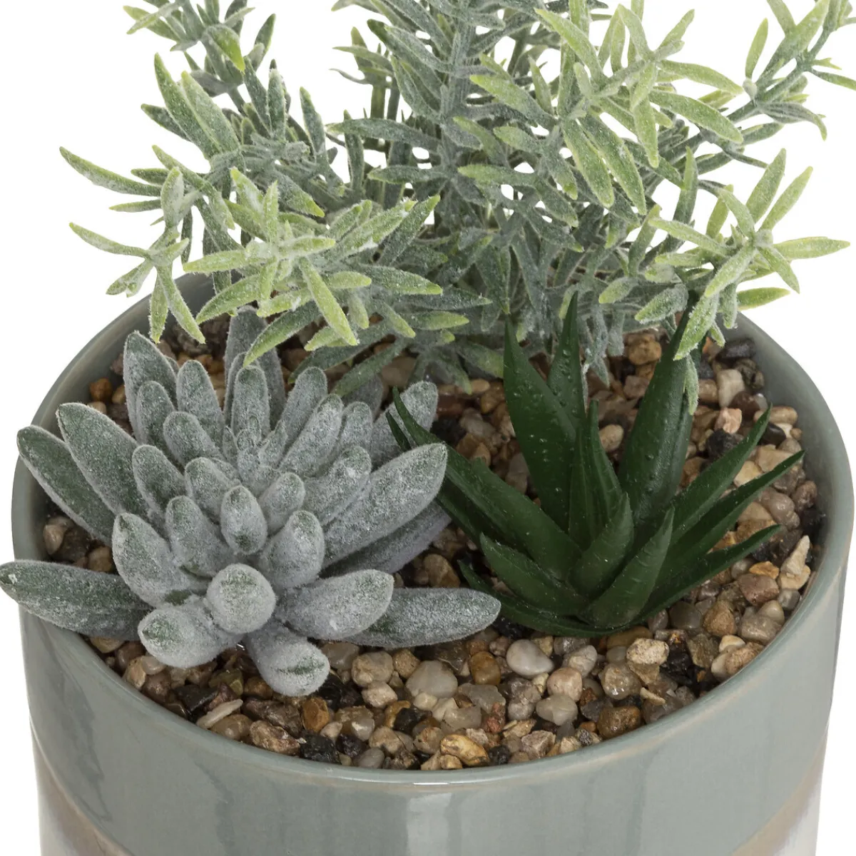 Composition plantes*ATMOSPHERA Best