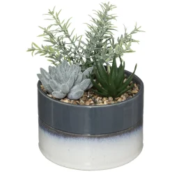 Composition plantes*ATMOSPHERA Best