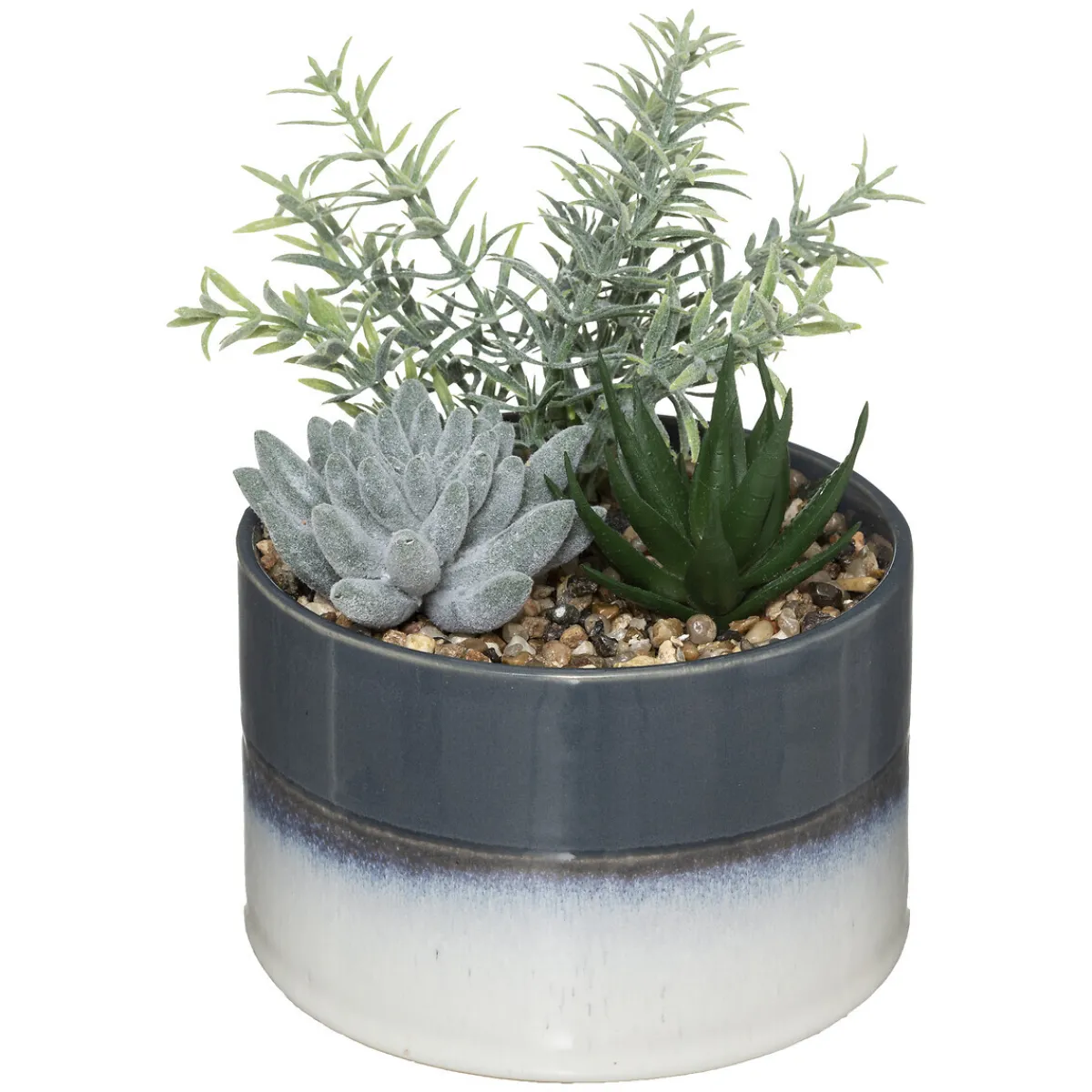 Composition plantes*ATMOSPHERA Best