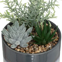 Composition plantes*ATMOSPHERA Best