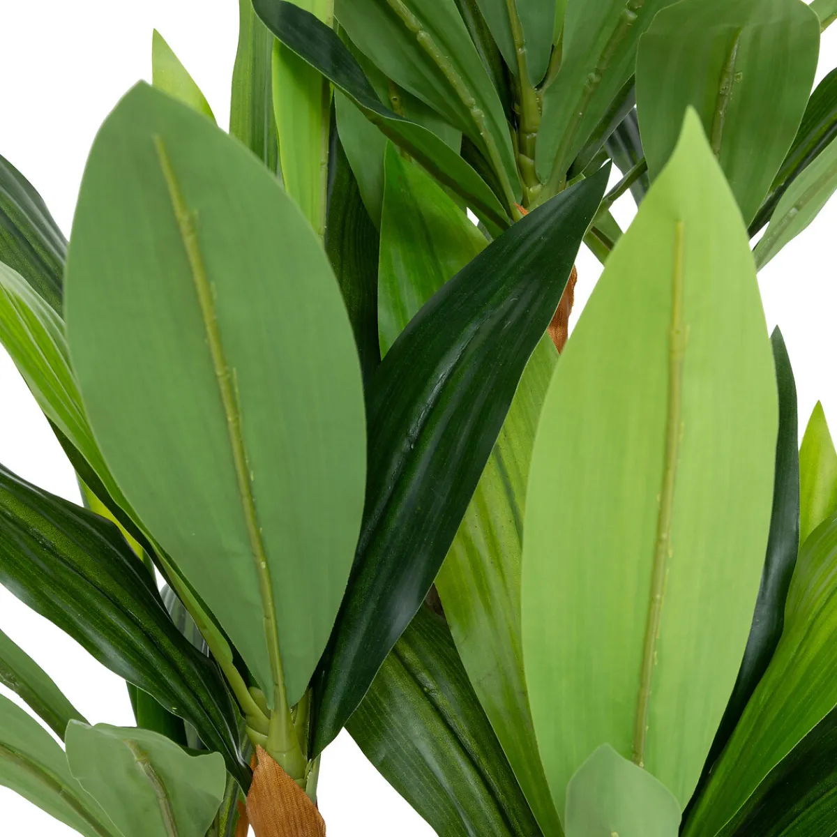 Dracena artificielle "Onia"*ATMOSPHERA Best