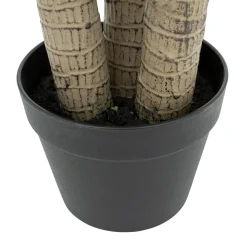 Dracena artificielle