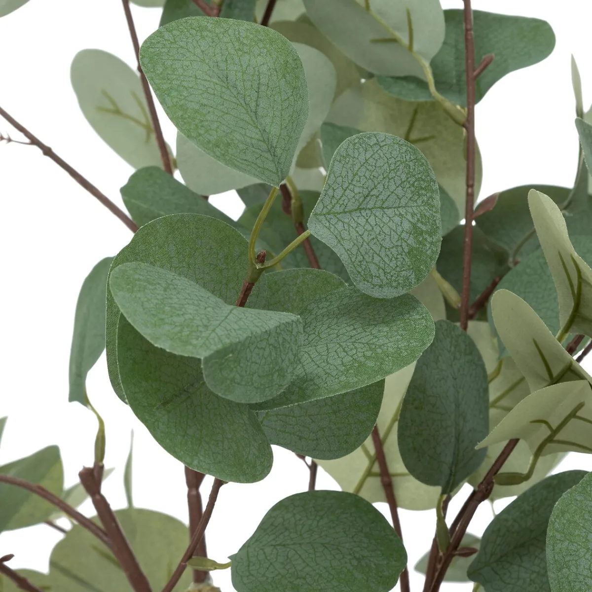 Eucalyptus artificiel "Cony"*ATMOSPHERA Discount