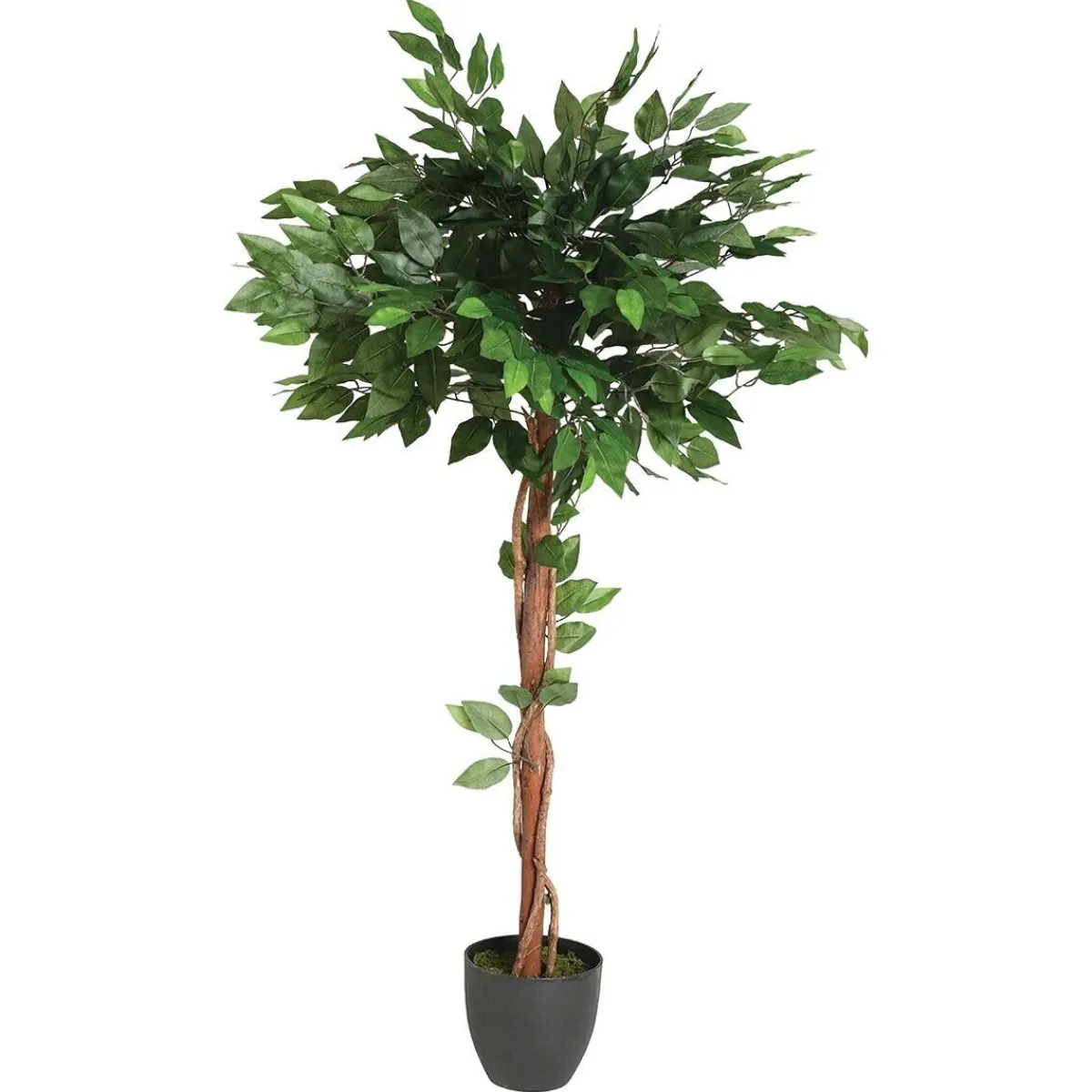 Ficus artificiel*ATMOSPHERA Clearance