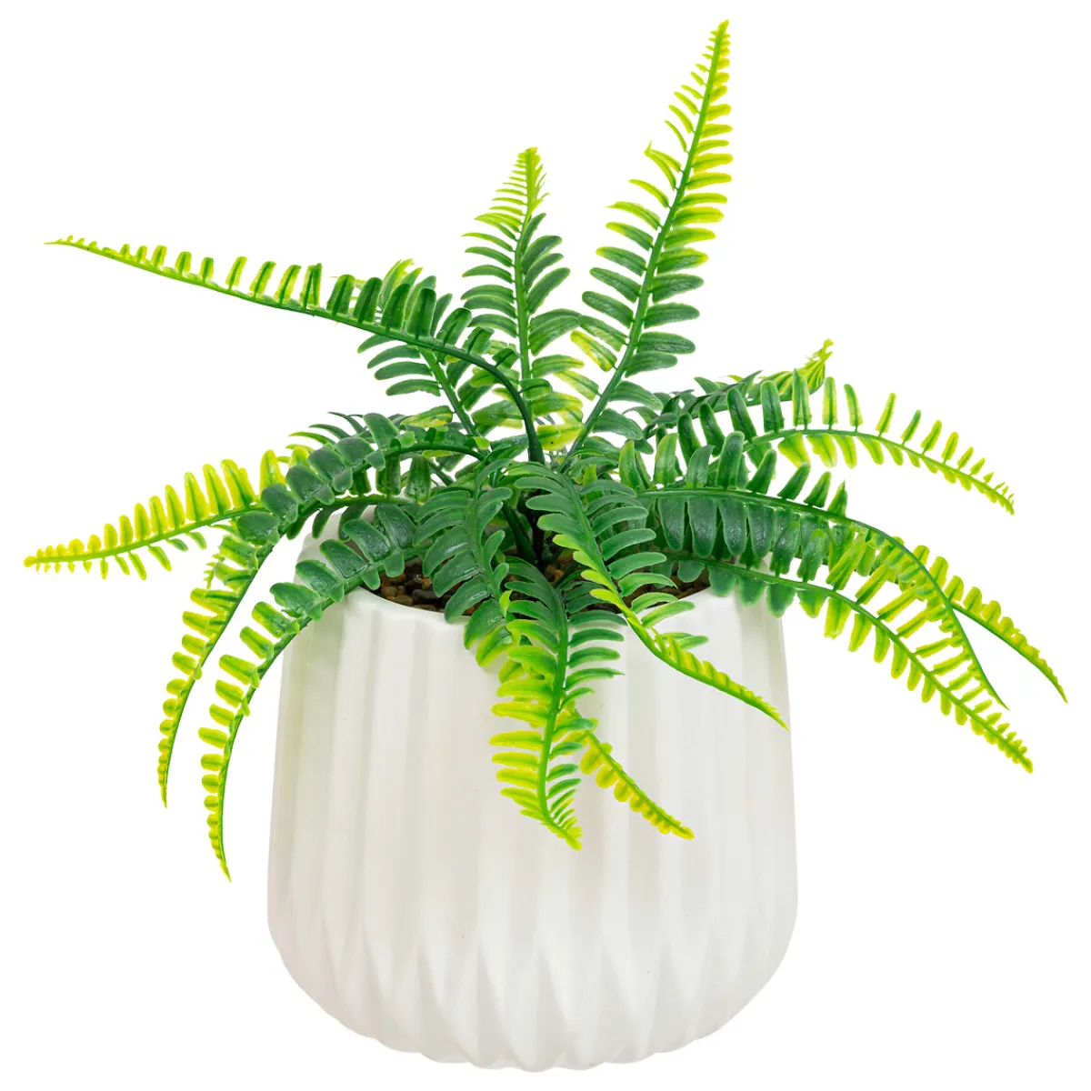 Fougère artificielle*ATMOSPHERA Online