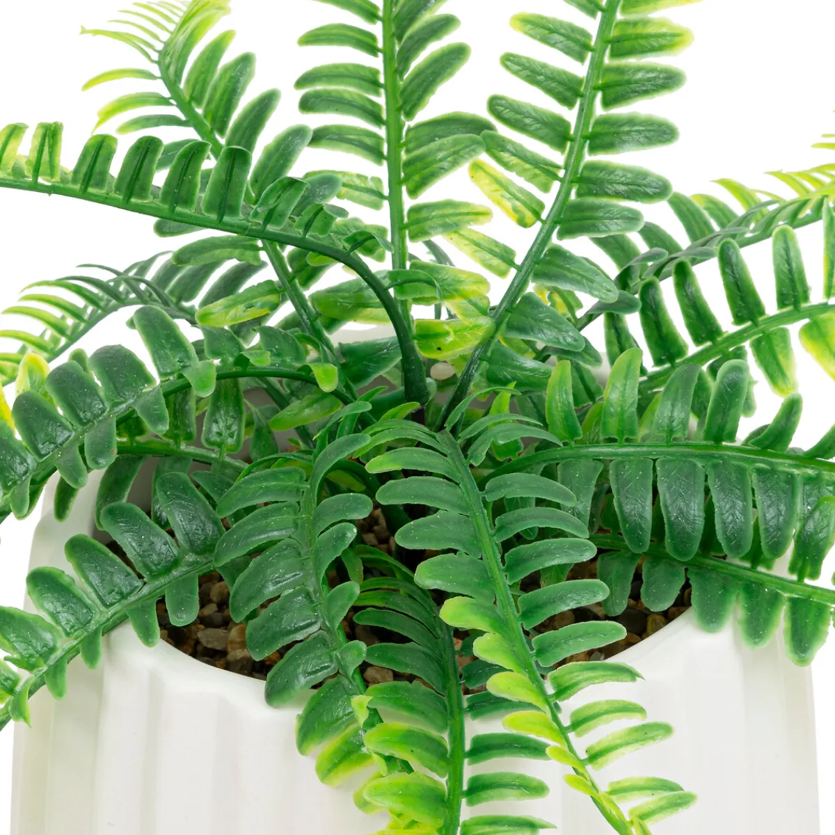 Fougère artificielle*ATMOSPHERA Online