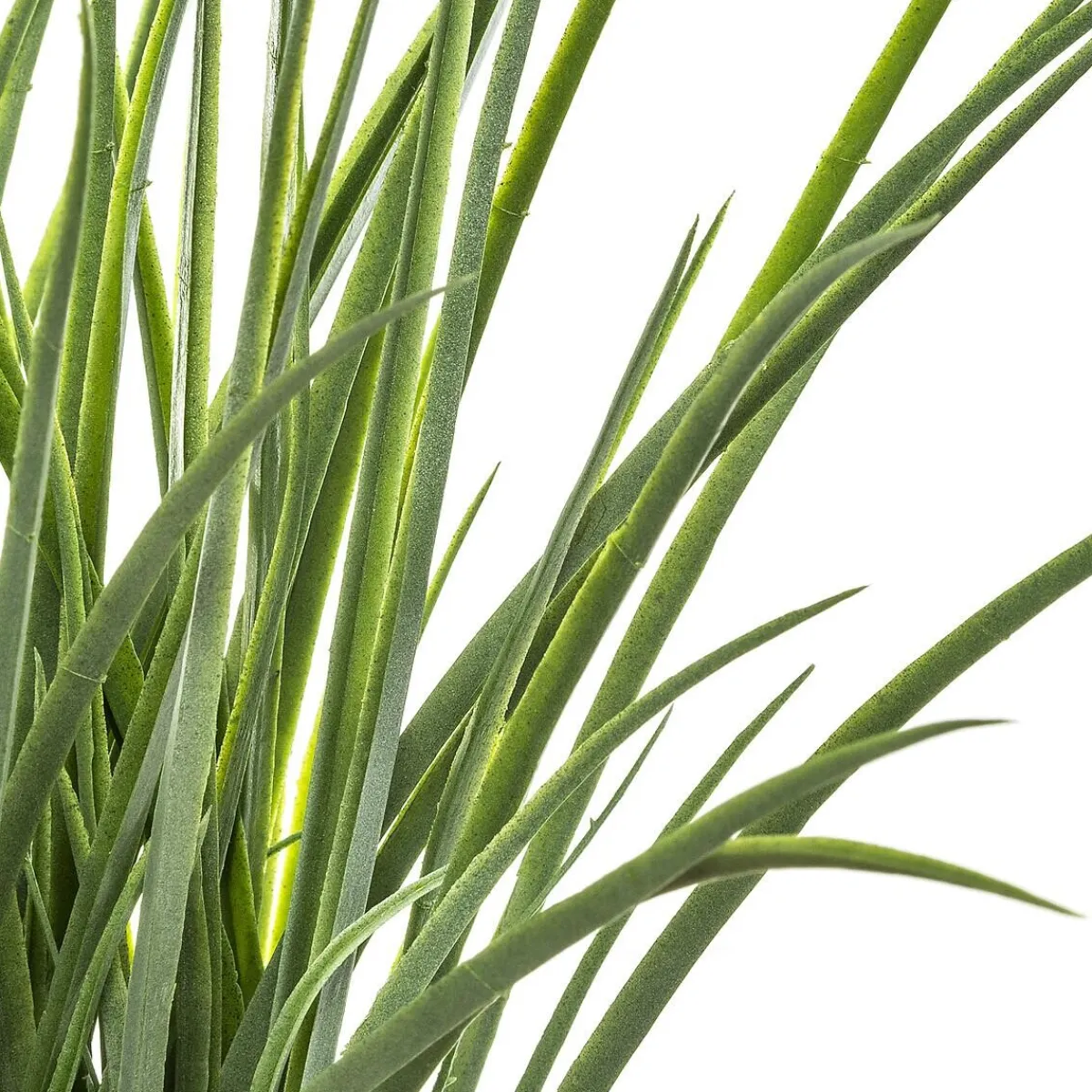 Herbe artificielle*ATMOSPHERA Sale