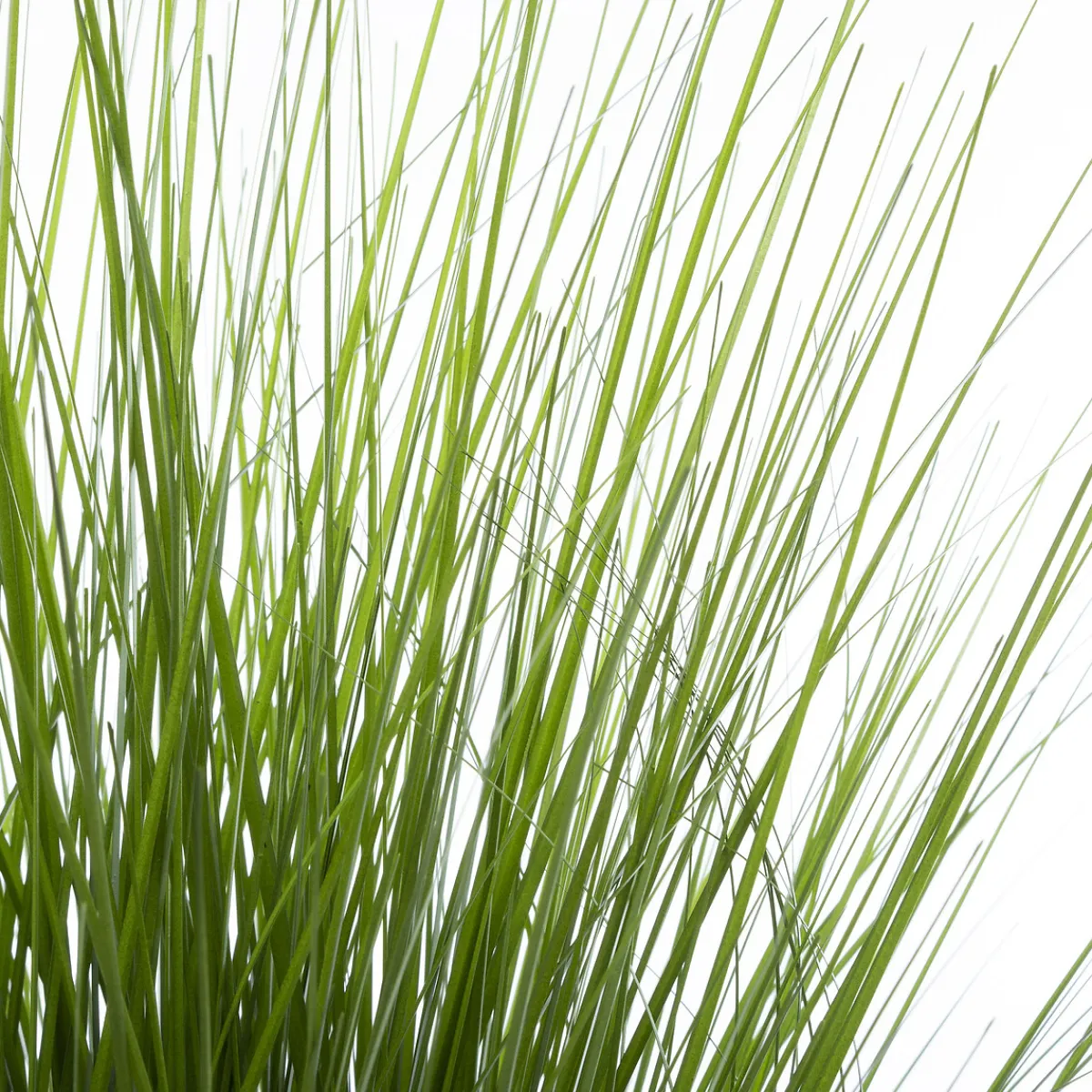 Herbe artificielle en pot*ATMOSPHERA New