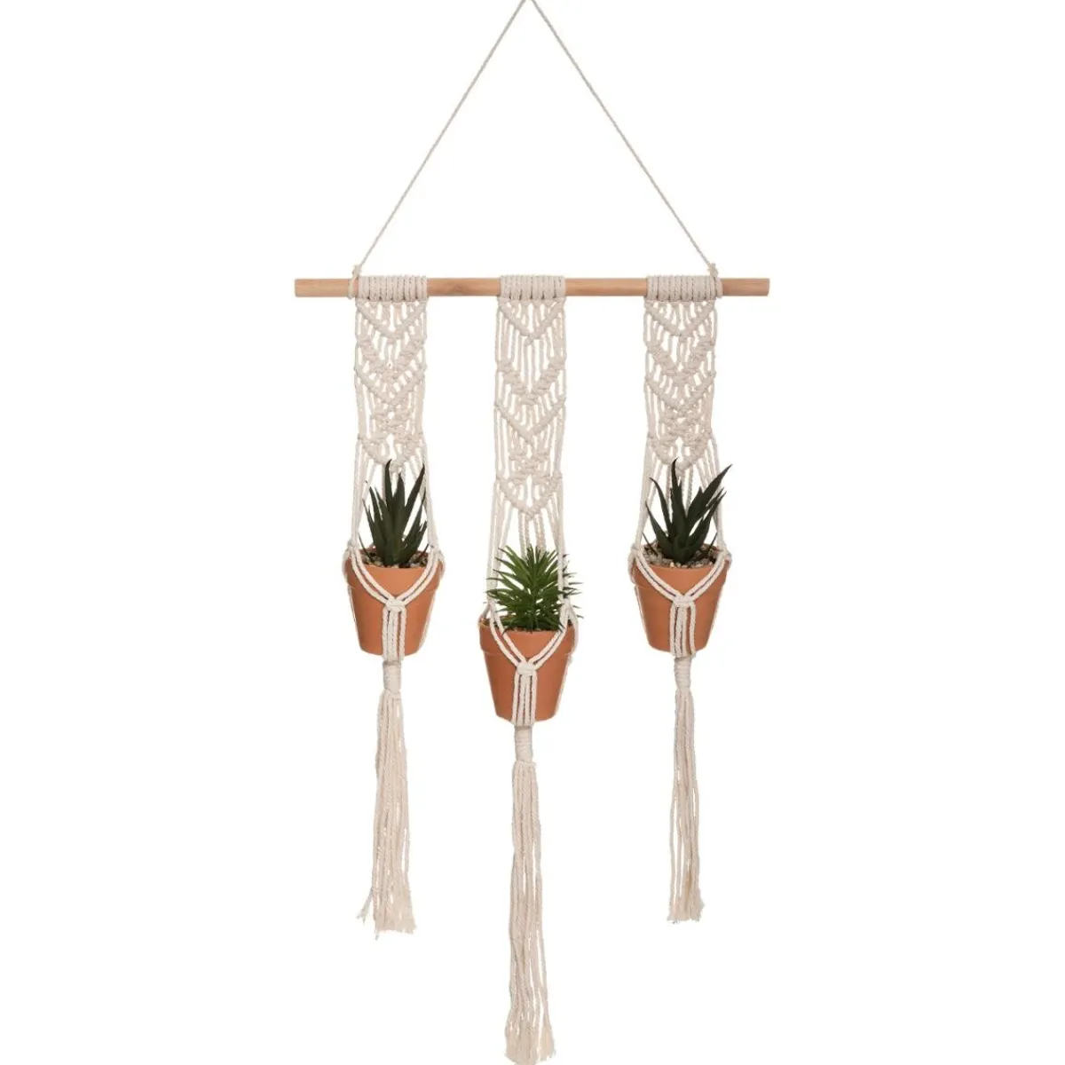 Lot de 3 plantes suspendues "Hacienda"*ATMOSPHERA Outlet