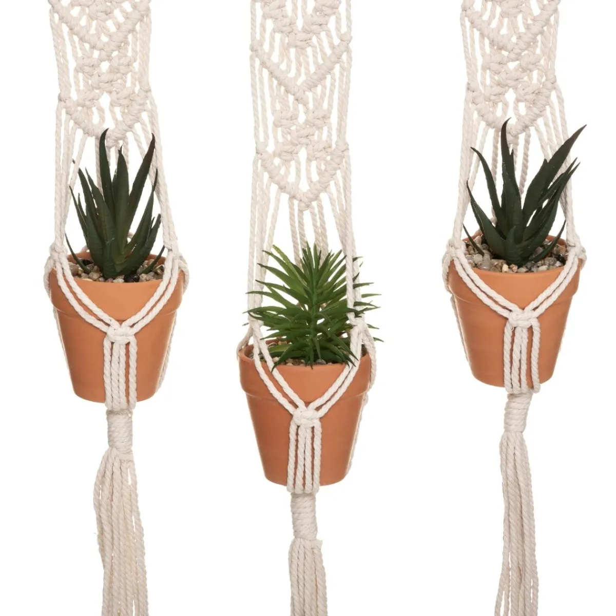 Lot de 3 plantes suspendues "Hacienda"*ATMOSPHERA Outlet