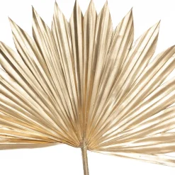 Lot de 3 tiges "Suite" plante séchée*ATMOSPHERA Sale