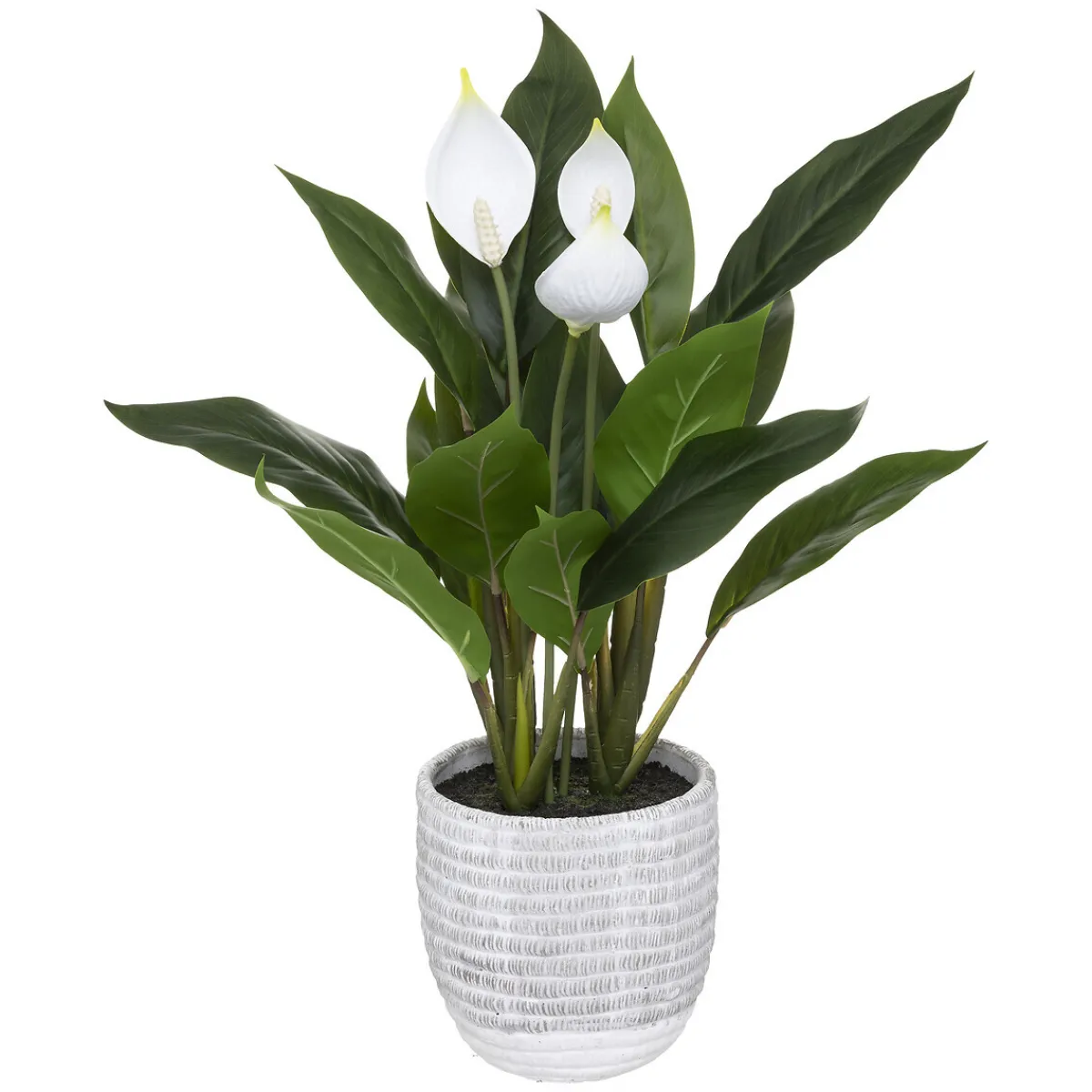 Lys artificiel*ATMOSPHERA Best