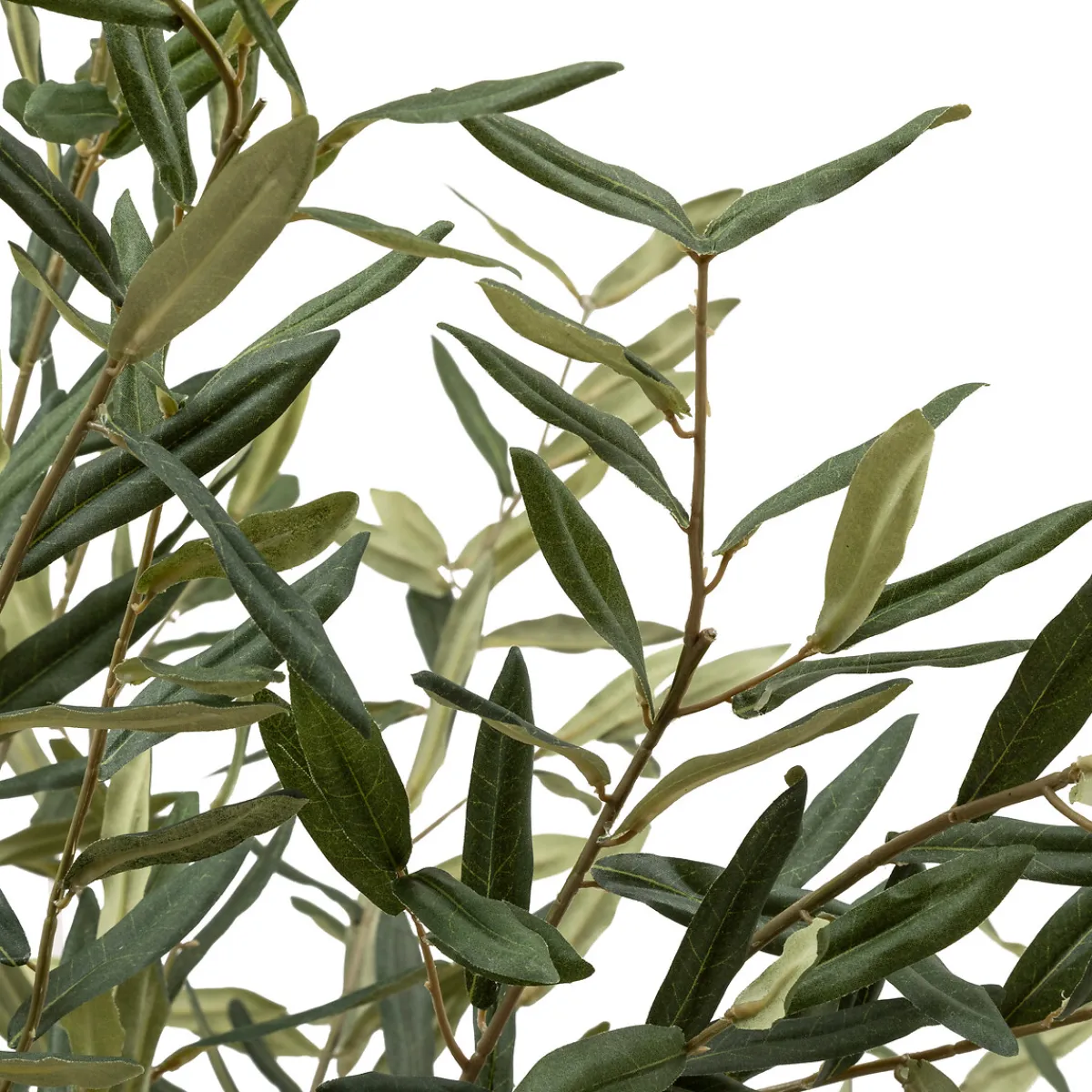 Olivier artificiel "Martin"*ATMOSPHERA New