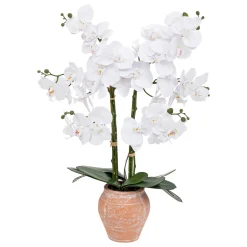 Orchidée artificielle "Dena"*ATMOSPHERA Sale
