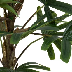 Palmier*ATMOSPHERA Outlet