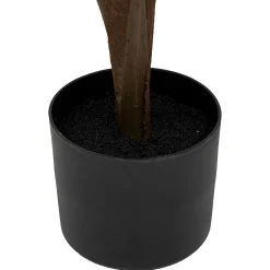 Palmier*ATMOSPHERA Outlet