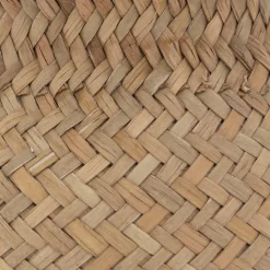 Plante artificielle*ATMOSPHERA