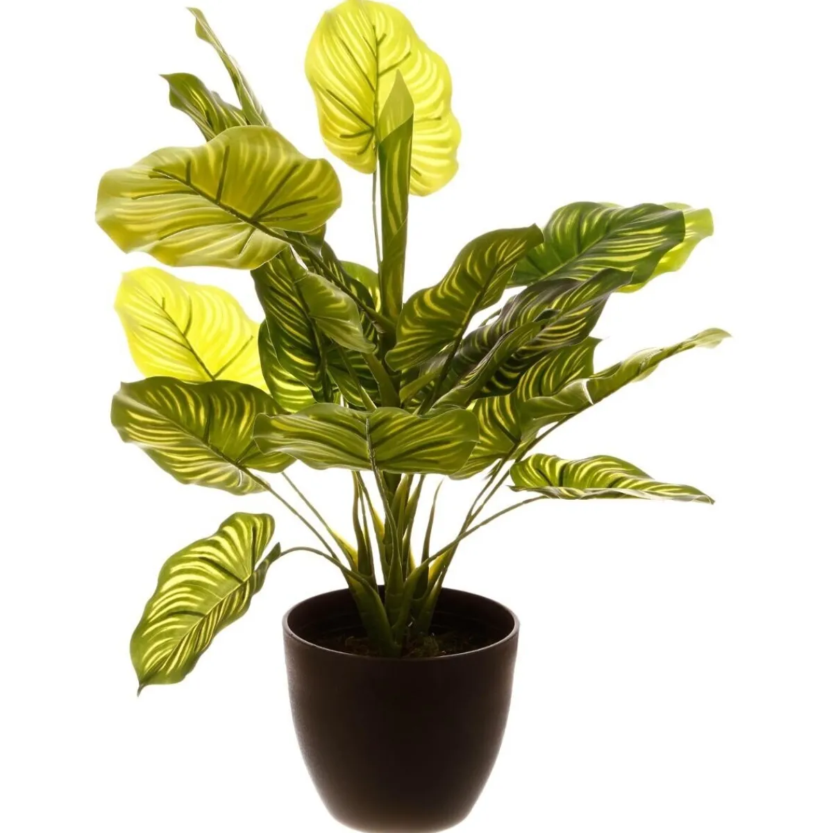 Plante artificielle*ATMOSPHERA Sale