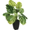Plante artificielle*ATMOSPHERA Clearance