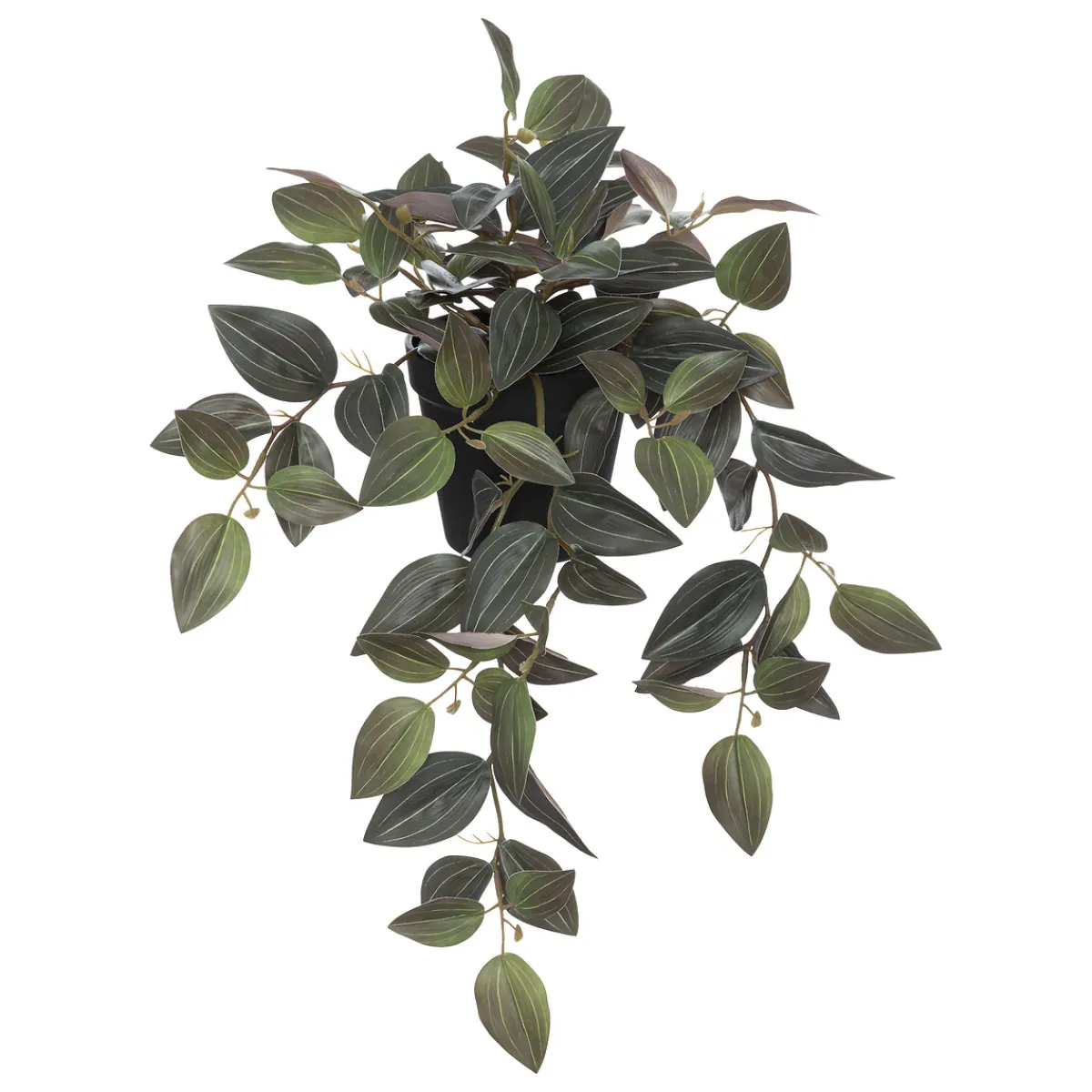 Plante artificielle*ATMOSPHERA Best