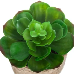 Plante artificielle*ATMOSPHERA