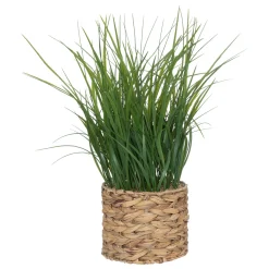 Plante artificielle*ATMOSPHERA Best